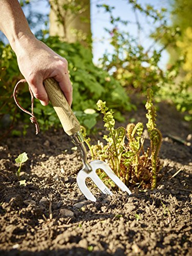 Gardman 95065 Handgabel aus Edelstahl - 3