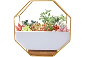 O'woda Pots muraux en céramique Blanche, Plante Suspendue, Murale Planteur avec Cadre en Fer et Plateau en Bambou pour Artificielles Fleur,Cactus,Succulentes,DéCor pour Salon Salle à Manger (Or)