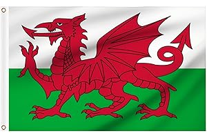 WOILTRYN Welsh Flags 5ft x 3ft for St David's Day Party Decorations, Large Wales Flag with Brass Eyelets for Football Sports Events Decoration