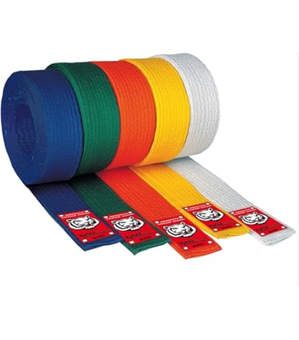 Mehrfarbiger Kampfsportgürtel - Budo Gürtel 180-330cm