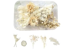 KSJEHW Flores Preservadas Naturales y Secas para Resina Epoxi, Velas, Álbumes, Recortes y Manualidades (Blanco)