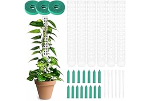 OFFCUP Pali di muschio in plastica, 6 x 25 cm/50 cm, supporto per piante rampicanti, pali per piante rampicanti, con fascette ed etichette, paletti per piante da interno ed esterno (bianco)