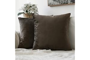 MIULEE Lot de 2 Housses de Coussins en Velours Décoratif Canapé Taie d'oreiller Super Lisse Doux Confortable Decoration Maison Salon Chambre pour Canapé 40X40CM Taupe Foncé