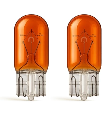 Cyclingcolors 10x Ampoule 12V 10W T13 W2.1x9.5d Clignotant