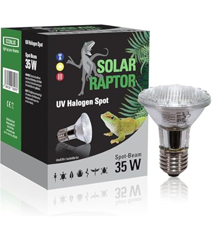 Lampada Exo Terra Solar Glo 125W Per Rettili - Luce UVA/UVB, Calore E Spettro Completo | Attacco E27