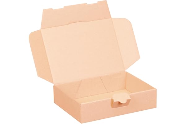 100 cartons Maxibrief, marron, taille et quantité au choix, carton d'expédition, marchandises, envoi de livres, carton postal, Poste DHL Hermes DPD GLS UPS (180 x 130 x 50 mm, marron)