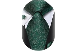 Dubulle Mens Ties Set Woven Paisley Stripes Necktie Handkerchief Cufflinks Wedding Business Tie