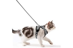 WDMIYA Pettorina per Gatti, Pettorina per Cani Taglia Piccola, Imbracatura per Gatti, Pettorina Gatto Antifuga, Collare Luminoso per Cani, Gatti Accessori (S, Grigio)