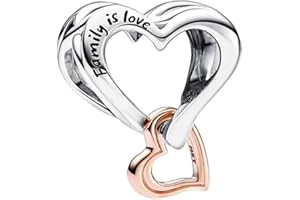 Annmors Charm Abalorios Colgante para Plata Ley 925 Pulsera Collar Mujer