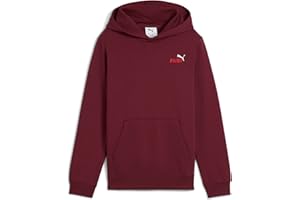 PUMA Jungen ESS 2 Color Small No. 1 Logo Hoodie FL B Kapuzenpullis (1er Pack)