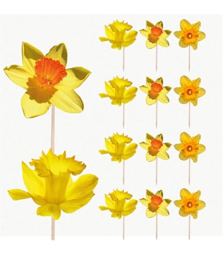 Daffodil Cake Toppers - 12 Pack