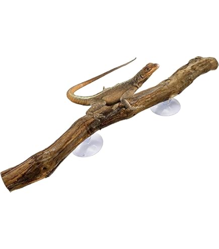 Künstliche Kletteräste Für Reptilien - 105cm Ranken Für Terrarium Dekoration