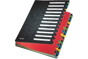 Leitz 59140095 Trieur en carton Color avec 24 onglets 1-24 (Noir) (Import Allemagne)