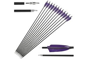 HNZMDY 6pcs Archery Carbon Arrows 28/30/31 inch Shaft Hunting Target Arrows Spine 500 with Nature Feather for Compound Bow Recurve Bow