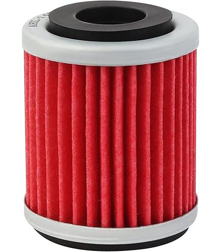 Filtre à Huile Champion Pour Quad Yamaha 350 YFM R Raptor 2004 à 2013