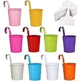 Annhao Vaso di Metallo, (Ganci Rimuovibili) 10 Metallo Ferro Vasi Di Fiori con Gancio per giardino Hanging Balcone Home Decor