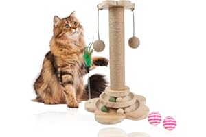 PRZRAO Griffoir pour Chat 40cm 5 en 1 Avec Balle et Plume Suspendues, Arbre Jouet Avec Corde en Sisal pour Chats d'Intérieur et Chatons