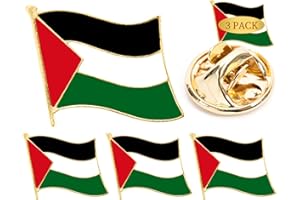 KUNOLI 3 Stück Palästina Flagge Revers Pin Badge National Country Flagge Button Revers Pin