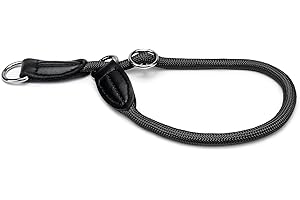 lionto Obroża treningowa dla psa z wytrzymałego nylonu, długość 45 cm, grubość 1 cm, obroża zaciskowa z ekoskóry, metalowe kółko & regulacja płynnym suwakiem, czarna