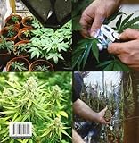 Image de Cannabis/ Cannabis Cultivator: Guia completa para el cultivo de marihuana/ A Complete Guide to Cannabis Cultiv
