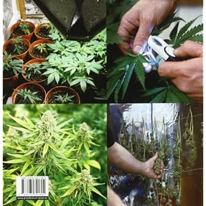 Cannabis/ Cannabis Cultivator: Guia completa para el cultivo de marihuana/ A Complete Guide to Cannabis Cultiv