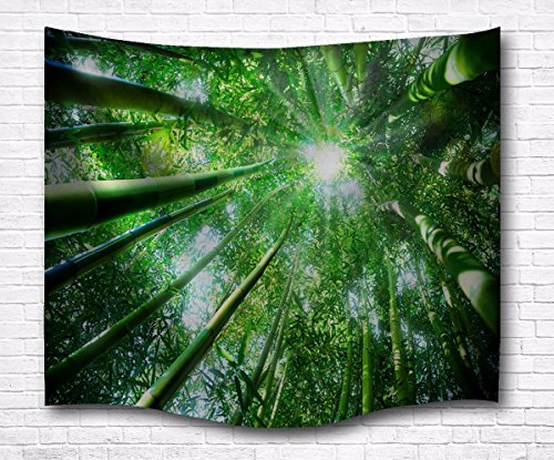 A.Monamour Sonnenschein Durch Bambus-Bäume Wald Grün Photography Bild Hintergründe Stoff Wand Für Schlafsäle Tapisserie Wandkunstdekor Hängen Wanddekor Wohnaccessoires Deko Wandteppiche