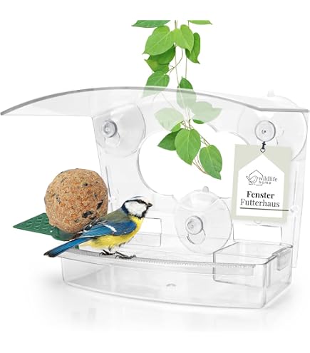 Alvinlite Fenster-Kolibri-Futterspender – Mit 3 Starken Saugnäpfen, Aus Acryl, Abnehmbarem Tablett & Entwässerung, Für Garten & Fenster