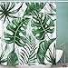 Produktbild DIDIFU Duschvorhang Badezimmer Wasserdicht Schimmelresistent UV Art Hintergrund mit 12 Haken, Polyester, Monstera, 180x180 cm