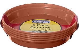 Whitefurze G04118 Garden Pot Saucer for 12.7/ 15cm Pot - Terracotta (Set of 5)