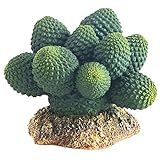 Hobby 37018 Kaktus Atacamma, Höhe 7 cm