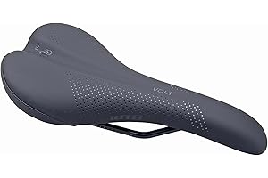 Sillín de Montaña WTB Volt, Negro, Gel, Espuma, Unisex-Adultos, Ciclistas, Aficionados al Aire Libre