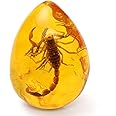 Unknown Amber Scorpion Inclusion Pendant Necklace - Unisex, Birthday Gift, Antique Crafts Enthusiasts