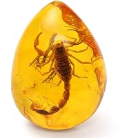Natural Scorpion In Resin Amber Pendant Necklace - Real Insect Decorative Stone For Jewelry & Home - View #4