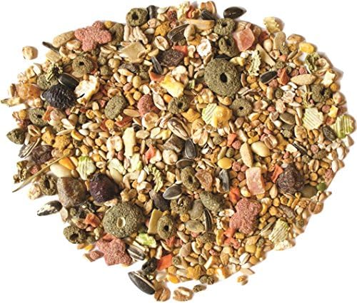SUNSEED COMPANY 079510 Sunsations Cockatiel/Conure Formula , 20 lb, 1Piece