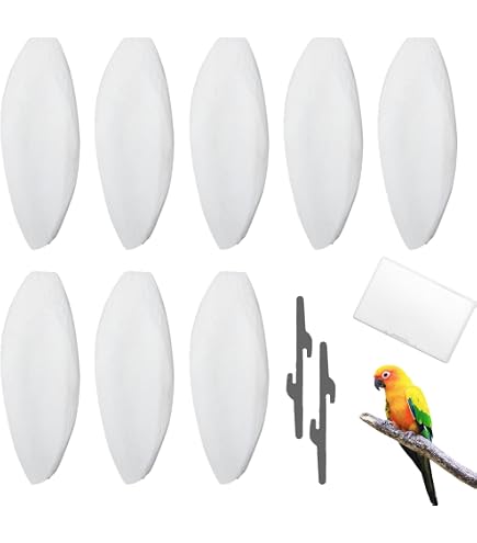 8 Huesos De Sepia Naturales Para Loros + 2 Clips – Juguetes Para Masticar, Cuidado Del Pico Y DIY Para Aves, Reptiles Y Tortugas (11-13 Cm)