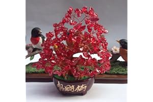 TITA-DONG Albero dei Soldi di Cristallo Bonsai Feng Shui, Albero di Cristallo per Energia Positiva, Buona Fortuna Guarigione Reiki Bilanciamento Ametista Albero di Pietre Preziose Albero di Roccia,(rosso)