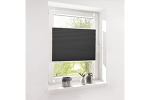 ‎DESWELL Deswell Plissee Rollo Jalousie ohne Bohren Klemmfix für Fenster & Tür Schwarz 100 x 120 cm(Breite x Höhe), Plisseerollo Stoff Sonnenschutz leicht zu montieren & Verspannt 4 Locks