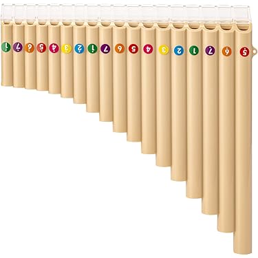 Amazon.in Bestsellers: The most popular items in Panpipes
