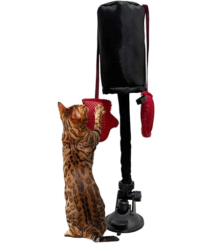 Katzen Boxsack Spielzeug - Interaktiver Trainingssack Mit Handschuhen
