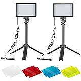 Neewer 2 Packs Portable Photography Lighting Kit Dimmable 5600K USB 66 LED Video Light with Mini Adjustable Tripod Stand and 