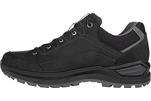 LOWA Halbschuh RENEGADE EVO GTX LO