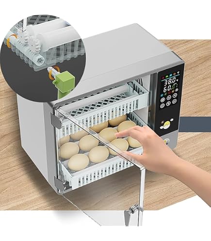 Auveach Automatischer Eier-Inkubator Für 16 Eier – Mit Temperaturregelung, Drehfunktion & Dual-Power