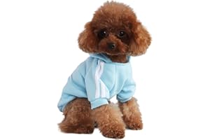 PenghaiYunfei Felpa con Cappuccio per Cani alla Moda Abbigliamento per Cani Felpa in Cotone Streetwear Vestito alla Moda per Cani Gatti Cucciolo Piccolo Medio Grande (Azzurro, M)
