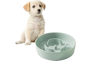 Havniva Ceramic Slow Dog Feeder Bowl for Small Dog, Slow Dog Food Bowl Small, Slow Dog Water Bowl, Stop Bloat, Preventing Choking (1 x Light Green, 15.5cm)