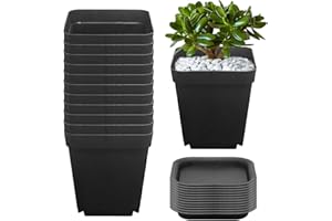 HIGA-JKL 12 Stück Blumentöpfe Kunststoff 7.5×7×5.1CM Anzuchttöpfe Pflanztöpfe Anzucht Ackig Klein Mit Untersetzer,Blumentöpfe für Sämlinge für Sukkulenten, Stecklinge, Umpflanzen