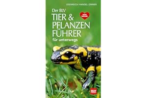 Der BLV Tier & Pflanzenführer: für unterwegs (BLV Naturführer)