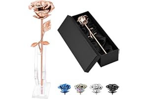 QGJNSGC Urnas de Recuerdo de Flores Rosadas para Cenizas humanas, medallón de urna Conmemorativa, Tallo Largo de Flores de Rosa Coloridas urnas de cremación, urna funeraria para Cenizas Adultas cremación