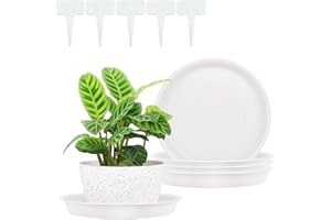 FANWINKJ 5pcs Plant Saucers, Plant Pot Saucers, Plastic Plant Saucer, Garden Saucers Trays, Round Plant Trays for Indoor/Outdoor Prevent Water Leakage(Light Gray,25cm)