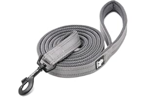 WINHYEPET True Love Dog Leash Nylon Reflective Comfortable Handle Lead Puppy Training Walking Rope Easy Control Suitable Small Medium Large Breeds 110cm Length TLL2111(Gray,M)