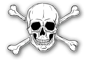 IBEX STICKER Autocollant | Tête de Mort, Skull, Crâne et os | Moto, Voiture, Ordinateur | Sticker Vinyle | Dimension au Choix (8cm)